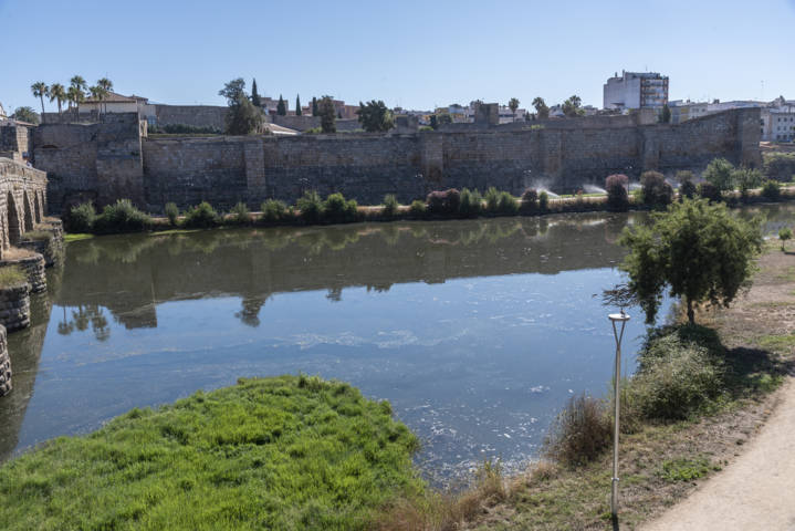 Badajoz - Mérida 037 - Alcazaba.jpg